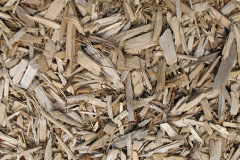 biomass boilers Sourin